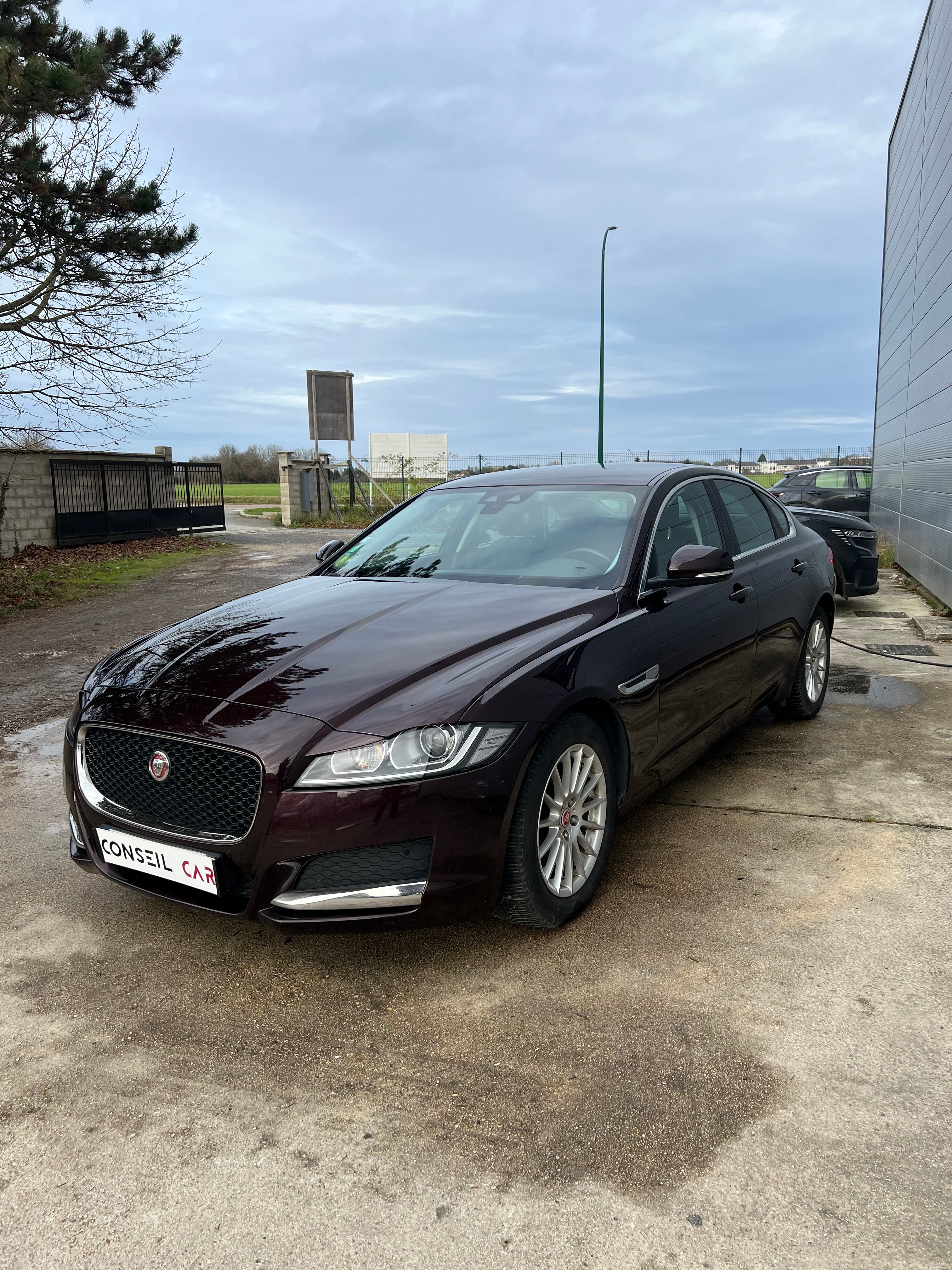 Jaguar XF X260 2.0 D 163 cv Jaguar XF X260 2.0 D 163 cv