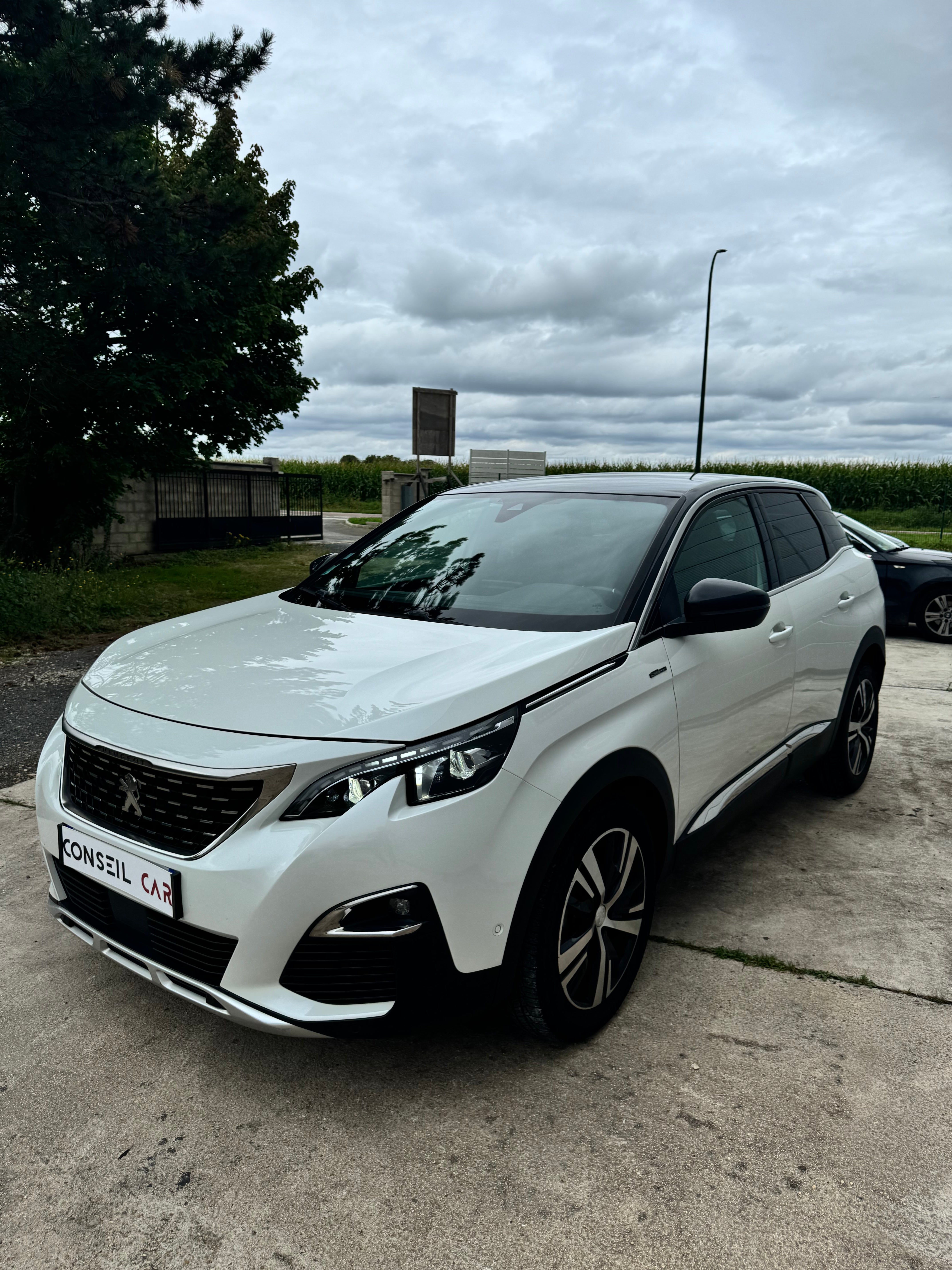 Peugeot 3008 1.6 180CH GT Line EAT8 Peugeot 3008 1.6 180CH GT Line EAT8